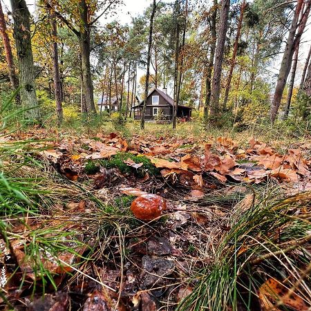 Ranczo Wilkowyja Villa Wilkowyja  ภายนอก รูปภาพ