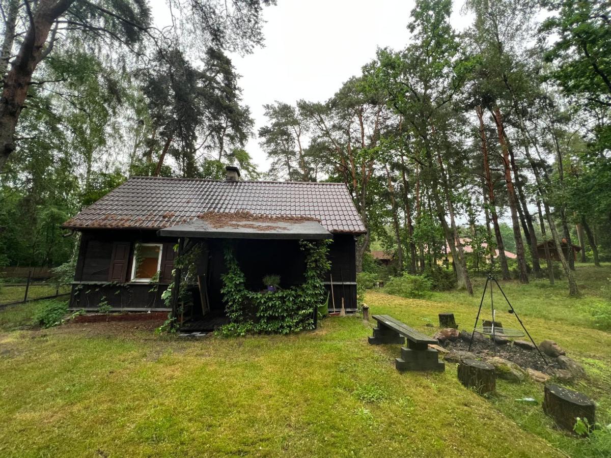 Ranczo Wilkowyja Villa Wilkowyja  ภายนอก รูปภาพ
